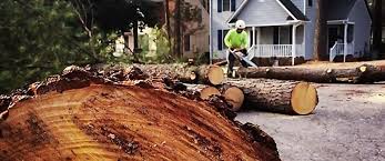 Lawn Renovation and Restoration in Heath, TX